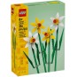 LEGO Botanicals 40747 Jonquilles – Fleurs Éternelles pour Adultes & Enfants