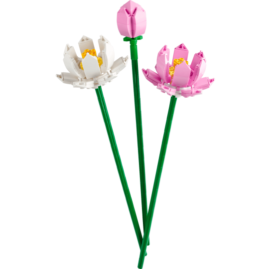 Lego 40647 - Les fleurs de lotus