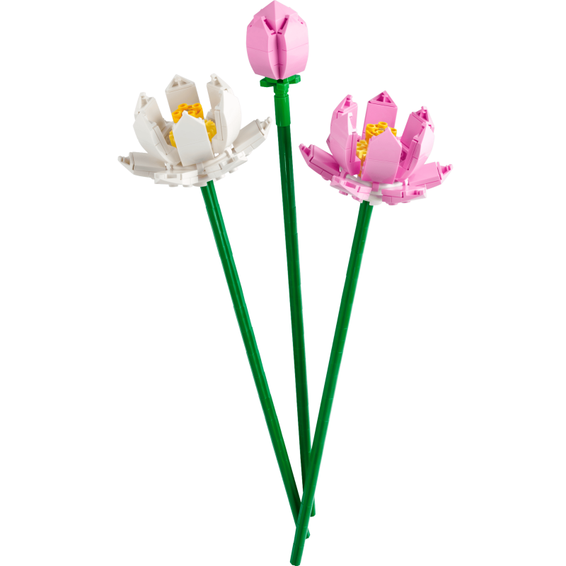 Lego 40647 - Les fleurs de lotus