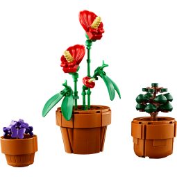 LEGO Icons 10329 : Les plantes miniatures