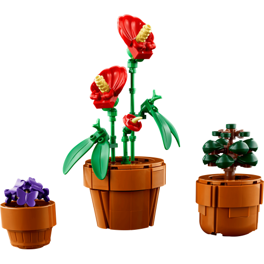 LEGO Icons 10329 : Les plantes miniatures