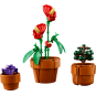 LEGO Icons 10329 : Les plantes miniatures