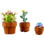 LEGO Icons 10329 : Les plantes miniatures