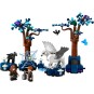 LEGO Harry Potter 76432 : La Forêt interdite : les créatures magiques