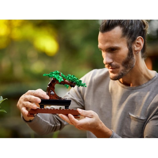 LEGO Botanical Collection 10281 : Bonsaï