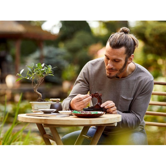 LEGO Botanical Collection 10281 : Bonsaï