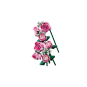 LEGO Botanical Collection 10374 : Le bouquet de roses roses