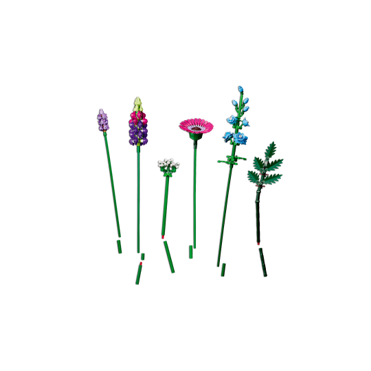 LEGO Botanical Collection 10313 : Bouquet de fleurs sauvages