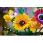 LEGO Botanical Collection 10313 : Bouquet de fleurs sauvages