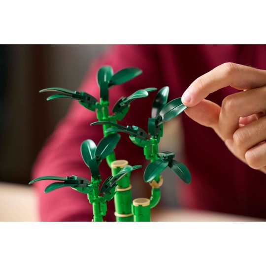 Lego Botanical Collection 10344 - Le bambou de la chance