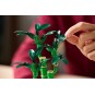 Lego Botanical Collection 10344 - Le bambou de la chance