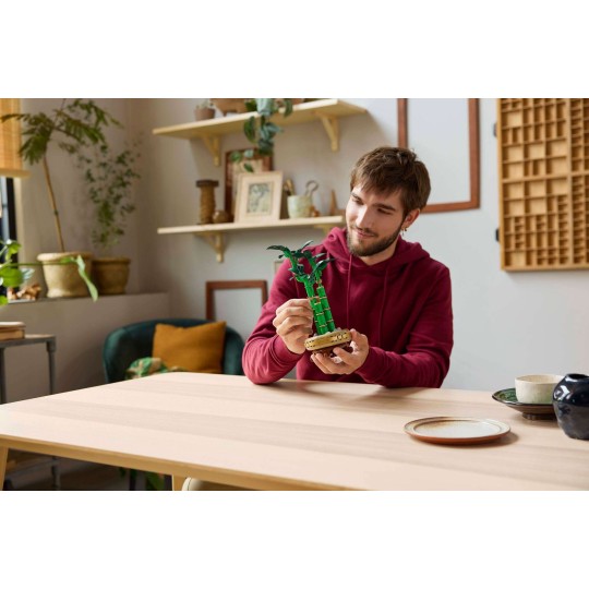 Lego Botanical Collection 10344 - Le bambou de la chance