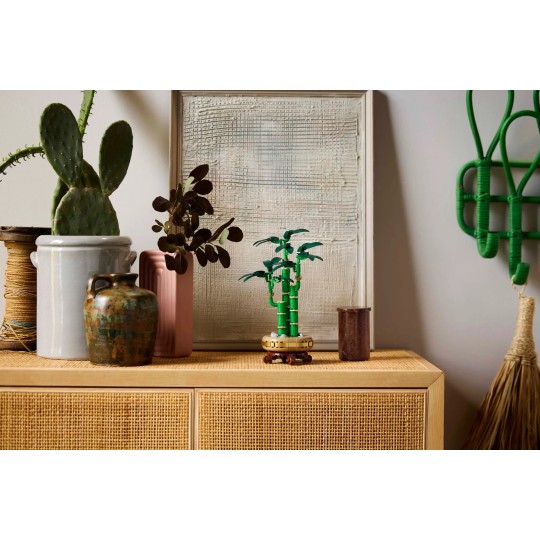 Lego Botanical Collection 10344 - Le bambou de la chance