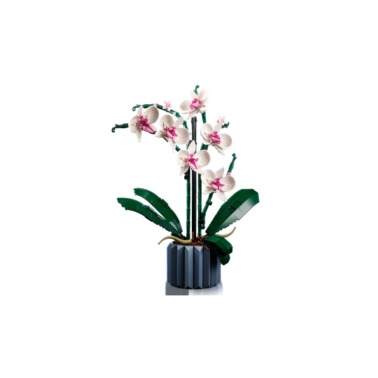 Lego Botanical Collection 10311 - L’orchidée