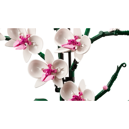 Lego Botanical Collection 10311 - L’orchidée