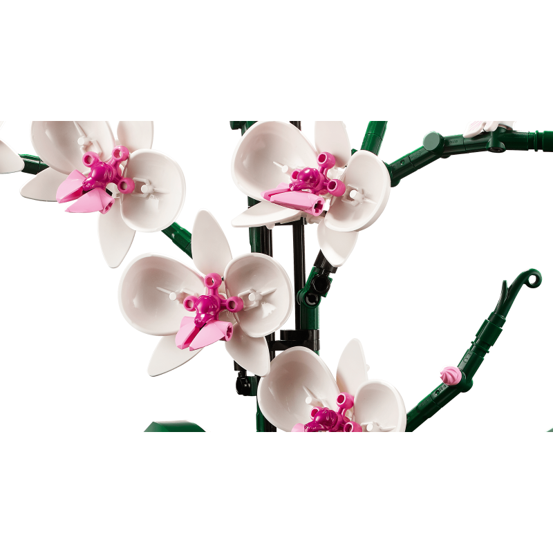 Lego Botanical Collection 10311 - L’orchidée