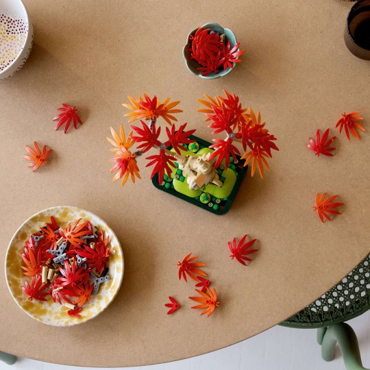 Lego Botanical Collection 10348 - Bonsaï d’érable rouge du Japon