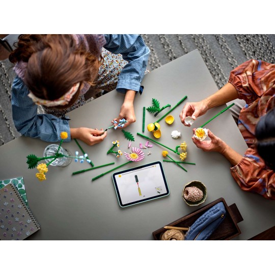 LEGO Botanical Collection 10347 : Petit bouquet ensoleillé