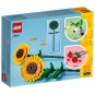 LEGO Botanical Collection 40524 : Les Tournesols