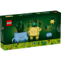 LEGO Botanical Collection 10349 : Petites plantes souriantes