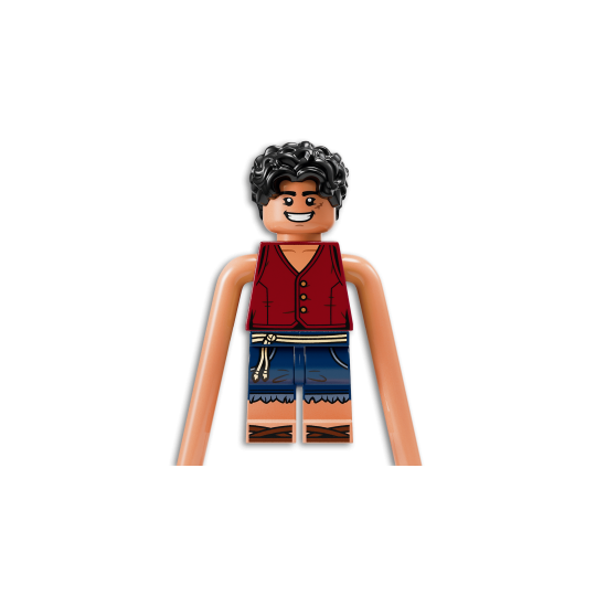 LEGO One Piece 75638 : La bataille d’Arlong Park