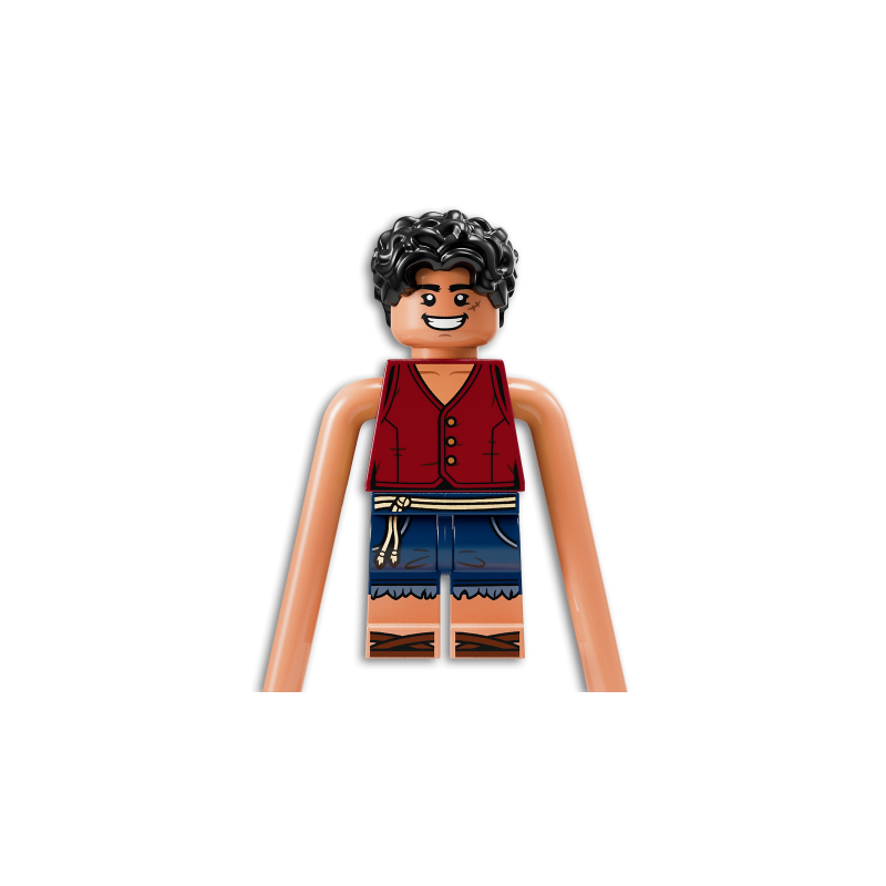 LEGO One Piece 75638 : La bataille d’Arlong Park