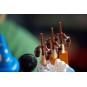 LEGO Ideas 21352 : La magie Disney