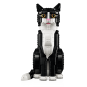 LEGO Ideas 21349 : Le chat bicolore Noir et Blanc. Tuxedo Cat