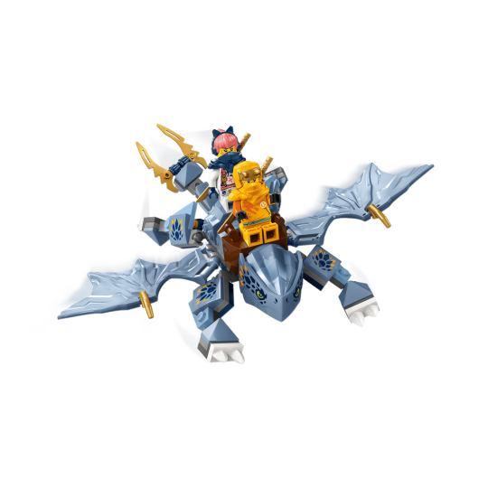 LEGO Ninjago 71810 : Le jeune dragon Riyu
