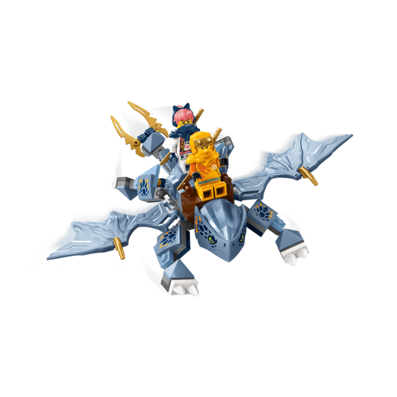 LEGO Ninjago 71810 : Le jeune dragon Riyu