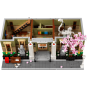 LEGO Icons 10326 : Le Muséum d’Histoire naturelle (Modular)