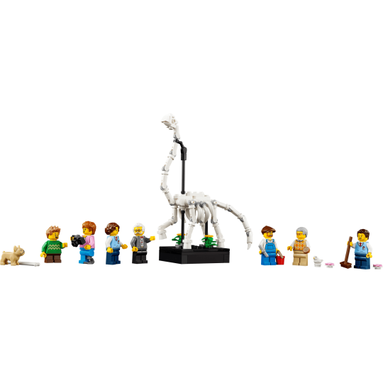 LEGO Icons 10326 : Le Muséum d’Histoire naturelle (Modular)