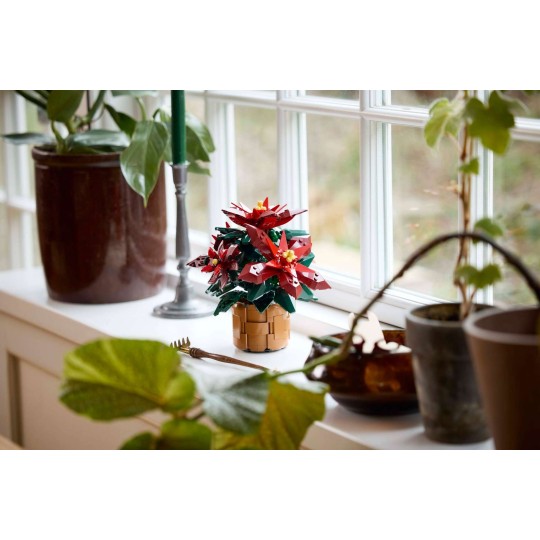 LEGO Icons 10370 : L’étoile de Noël