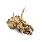 LEGO Jurassic World 76969 : Les fossiles de dinosaures : le crâne du tricératops
