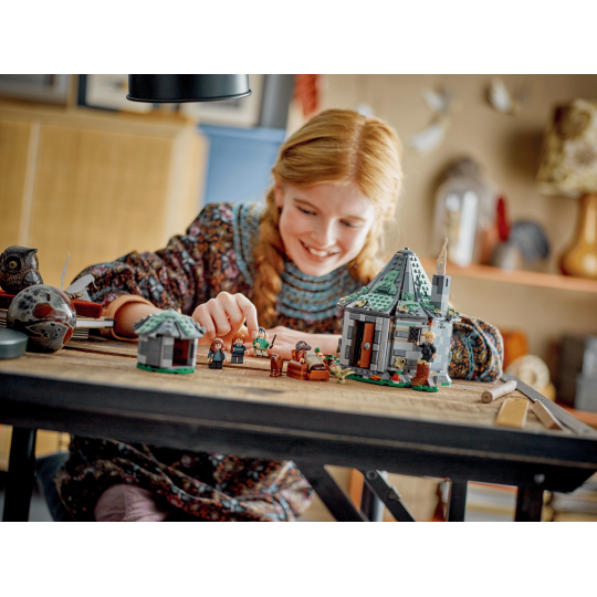 Lego Harry Potter 76428 - La cabane de Hagrid : une visite inattendue
