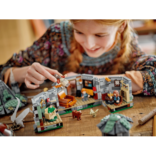 Lego Harry Potter 76428 - La cabane de Hagrid : une visite inattendue
