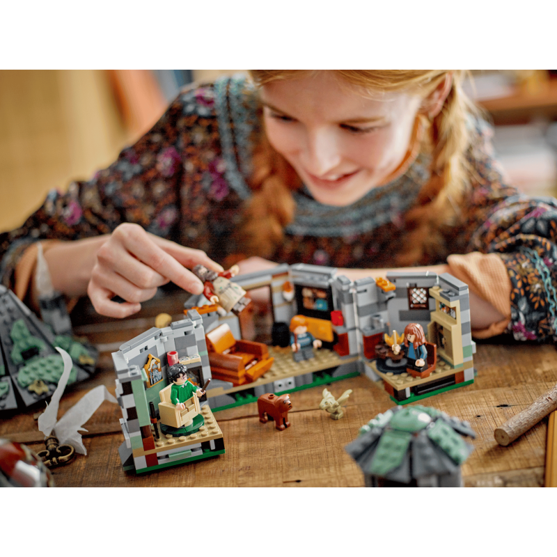 Lego Harry Potter 76428 - La cabane de Hagrid : une visite inattendue