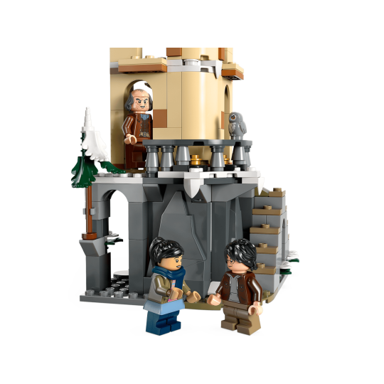 Lego Harry Potter 76430 - La volière du château de Poudlard