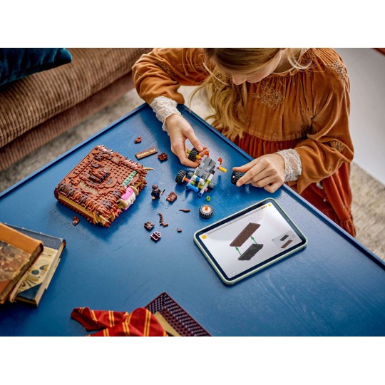 LEGO Harry Potter 76449 – Le monstrueux livre des monstres | GoldenBrick