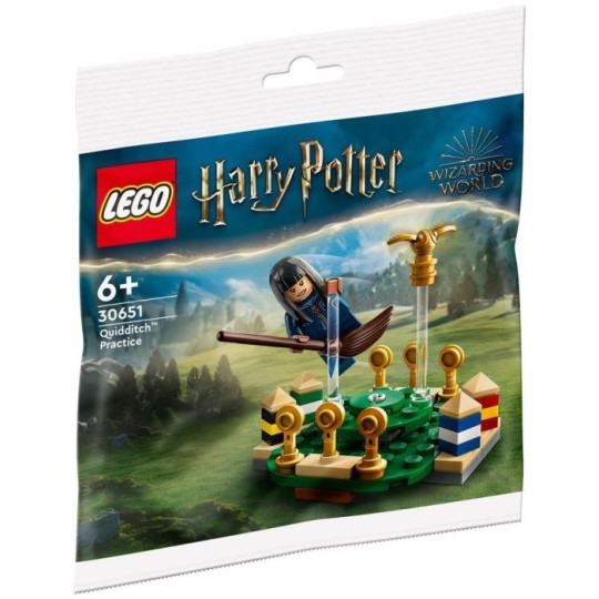 Lego Harry Potter 30651 - L'entraînement de Quidditch (Polybag)