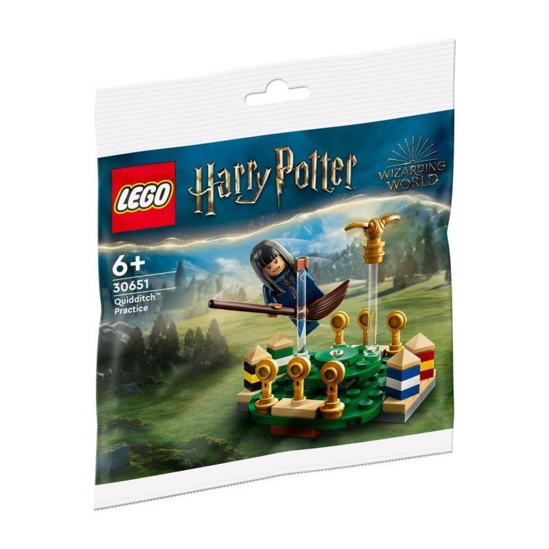 Lego Harry Potter 30651 - L'entraînement de Quidditch (Polybag)