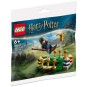 Lego Harry Potter 30651 - L'entraînement de Quidditch (Polybag)