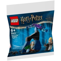 Lego Harry Potter 30677 - Drago dans la Forêt interdite (Polybag)