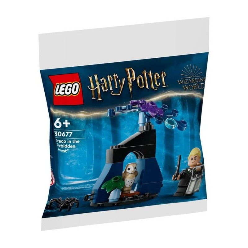 Lego Harry Potter 30677 - Drago dans la Forêt interdite (Polybag)