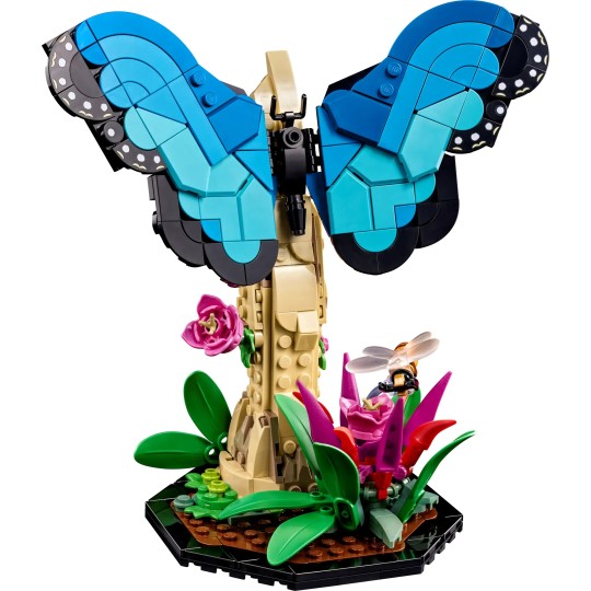 LEGO 21342 La collection d’insectes