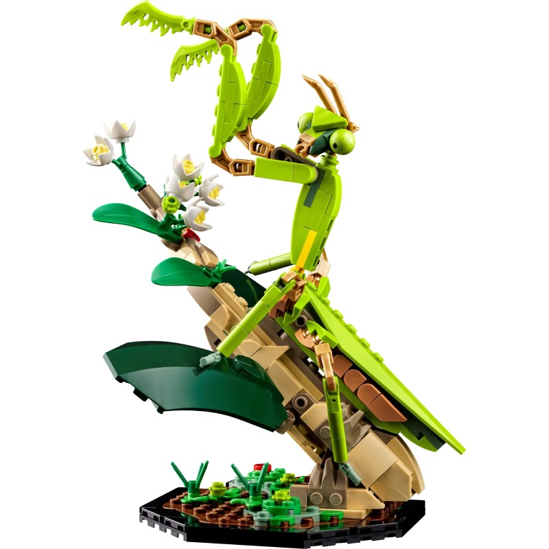 LEGO Ideas La collection d’insectes