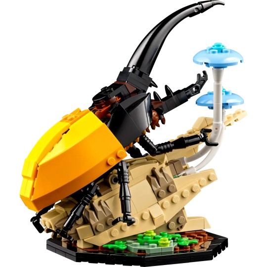 LEGO Ideas collection d’insectes
