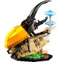 LEGO Ideas collection d’insectes