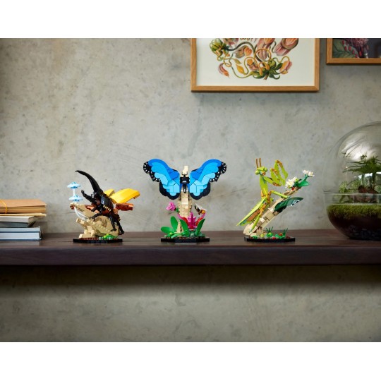 LEGO Ideas 21342 - La collection d’insectes
