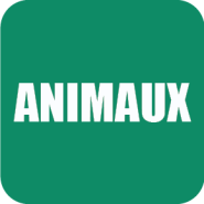 LEGO Animaux : Sets Retirés